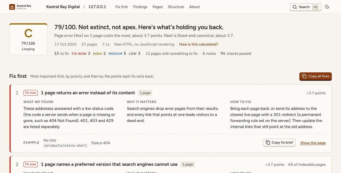The same report with Kestrel Bay Digital's logo, name and rust accent